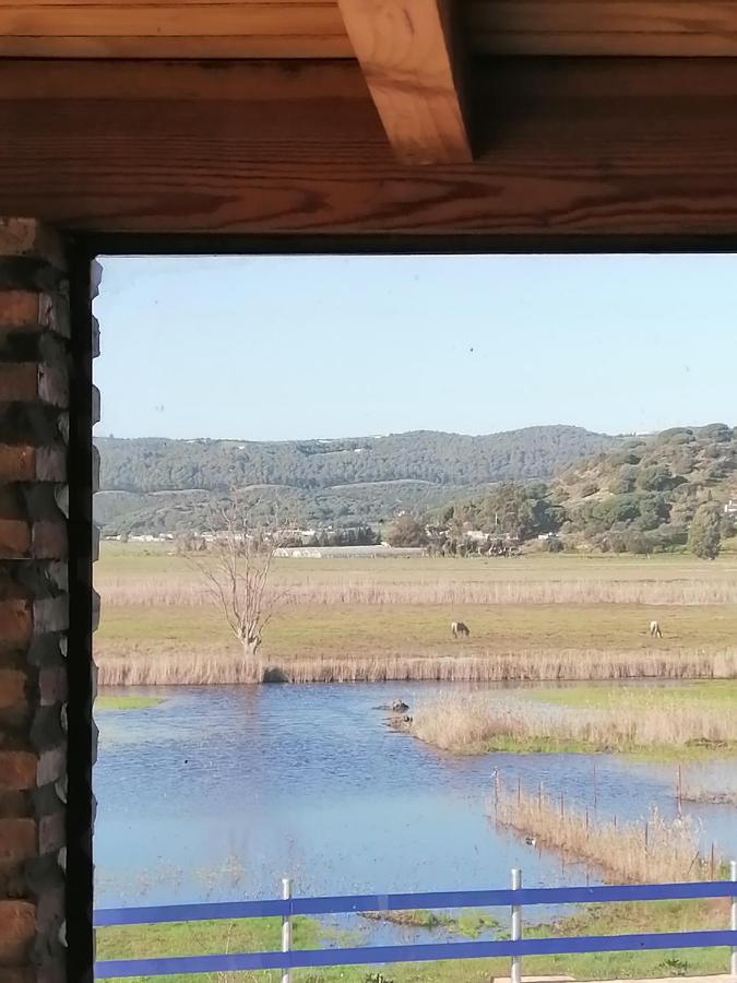 Casa Los Ibis Villa Vejer de la Frontera Dış mekan fotoğraf